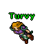 Turvy