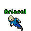 Briasol
